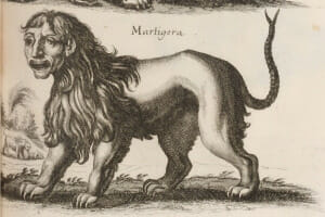 Manticore vs chimera all you need to know